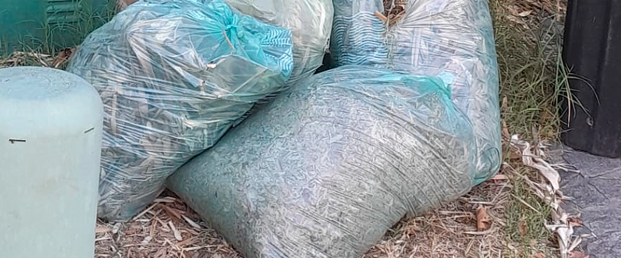 Las bolsas verdes de Ciageser… ¡no son para residuos verdes!