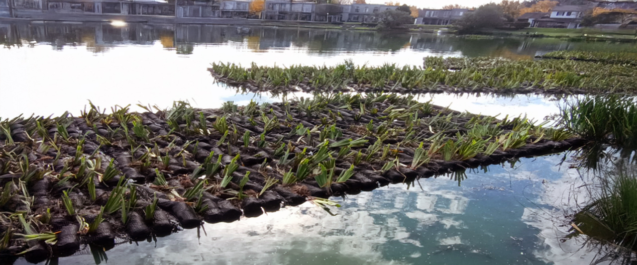 ¡300 nuevas balsas al agua!