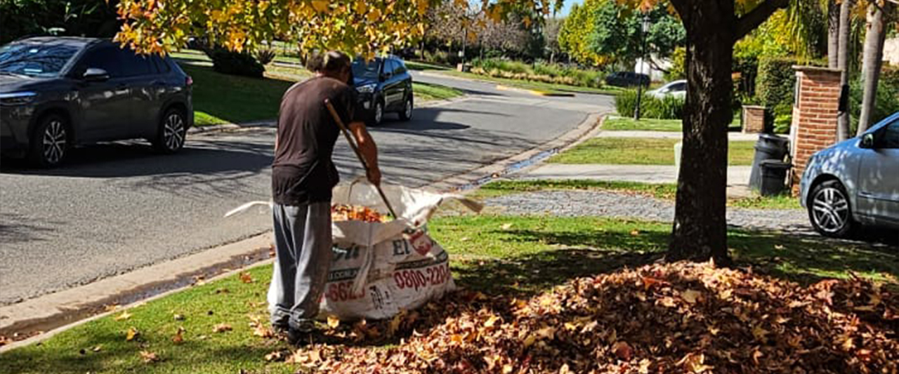 Las hojas del otoño, ¡a la compostera!